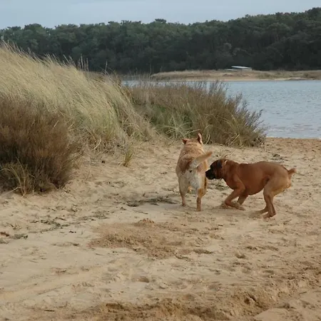 Logis Les Parcs Ξενοδοχείο 3*